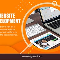 Портфолио Algorank